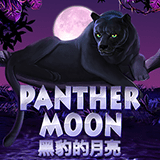 RTP joker  foxybet77